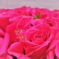 Монобукет из 25 роз Pink floyd 70 см